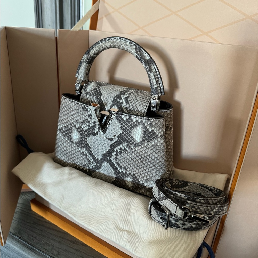Rare Authentic Exotic Python Louis Vuitton mini Capucine - Picture 4 of 9